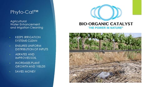 Phyto-Cat for Agriculture, drip irrigation cleaning