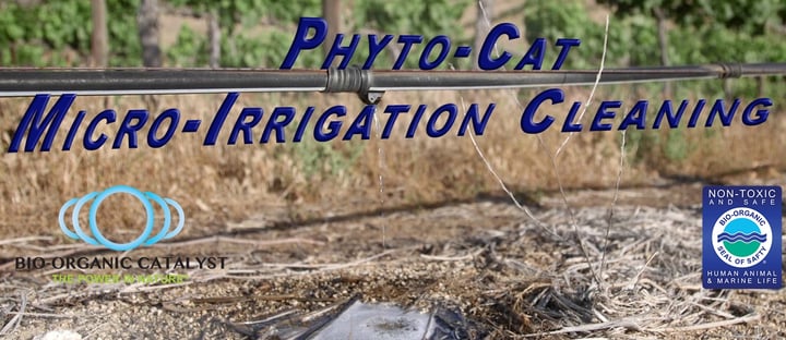 Phyto-Cat Micro-Irrigation Cleaning